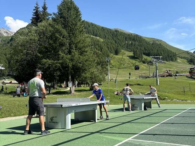 Ping pong table